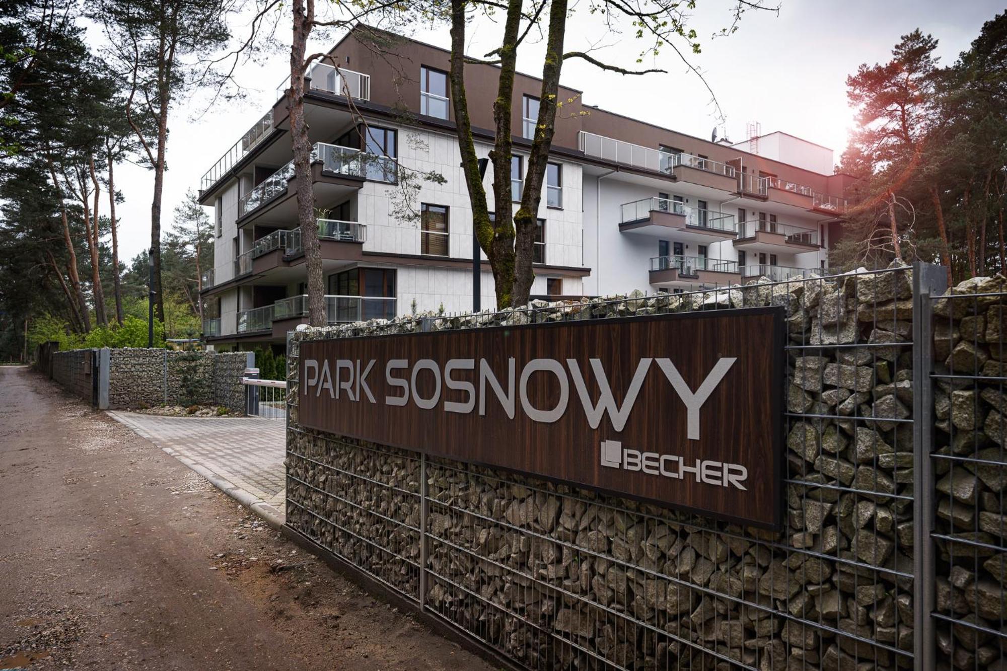 Sosnowy 